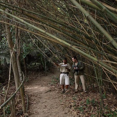 Tanjong Jara Resort, Terengganu - A Small Luxury Hotels Of The World Dungun Eksteriør billede Bamboo forest in the park